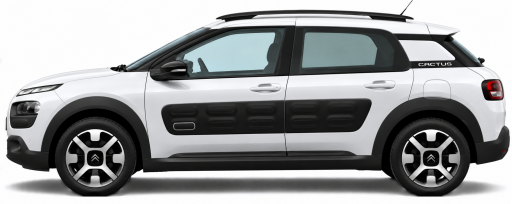 C4 Cactus