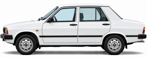 Toros