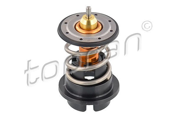 Volkswagen Touareg Passat 3.6 FSI Termostat