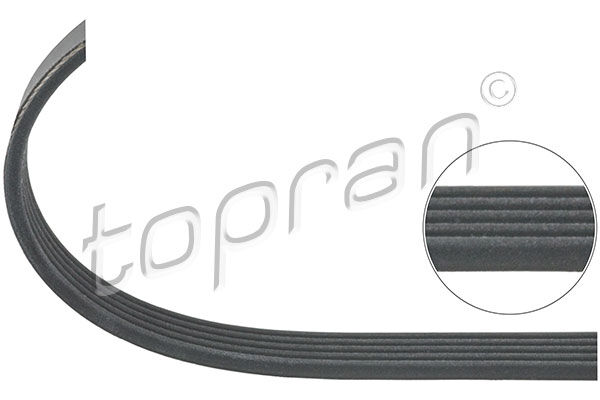Citroën Xsara Opel Vectra C 1.6 1.8 V Kayışı