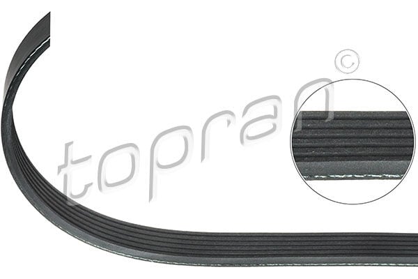 Skoda Fabia Seat Ibiza Volkswagen Golf 3 1.8 V Kayışı