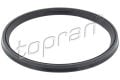 BMW E Serisi 2004-2015 Turbo Hortumu O-Ring 60.4X4.4 mm