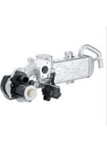 Volkswagen Golf 6 Jetta Caddy Audi A3 Q3 1.6TDI 2.0TDI 2010 Sonrası EGR Soğutuculu