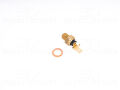 Volkswagen Caddy Bora Hararet Müşürü