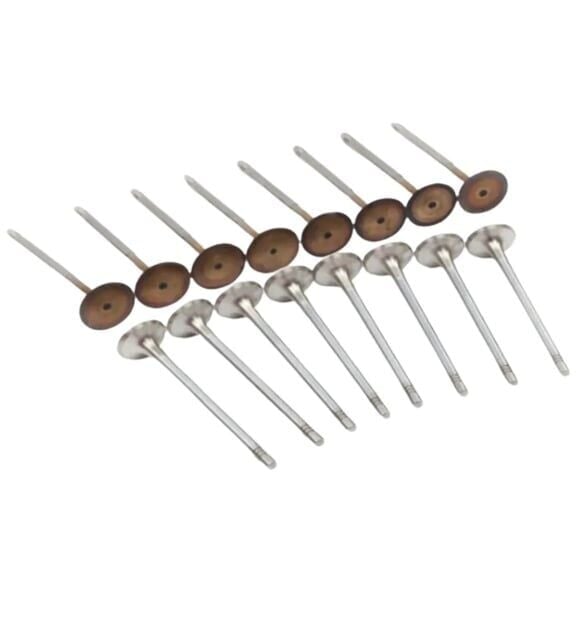 Volkswagen Beetle Bora Caddy Eos Golf Jetta Passat Polo Touran 1.4 1.4 TSI 1.6 FSI Egzoz Subap Valfi 8'li Set