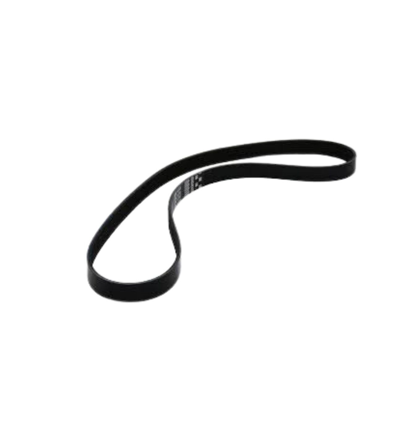 Volkswagen Passat 1.8 1.8T V Kayışı