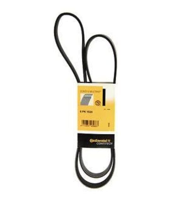 Skoda Octavia Seat V Kayışı