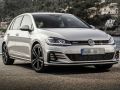 Volkswagen Golf 7 MK7 ( 2012 - 2018 ) Arası Uyumlu Panjur GTD