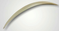 Mercedes W205 C Serisi Uyumlu Anatomik Spoiler