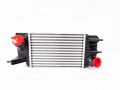 Nissan Juke 2010-2019 ve Pulsar 2014 Sonrası Uyumlu Turbo Radyatörü (Intercooler)