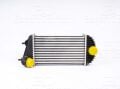 Suzuki Swift 1.3 DDIS 2010 ve Sonrası Turbo Radyatörü (Intercooler)