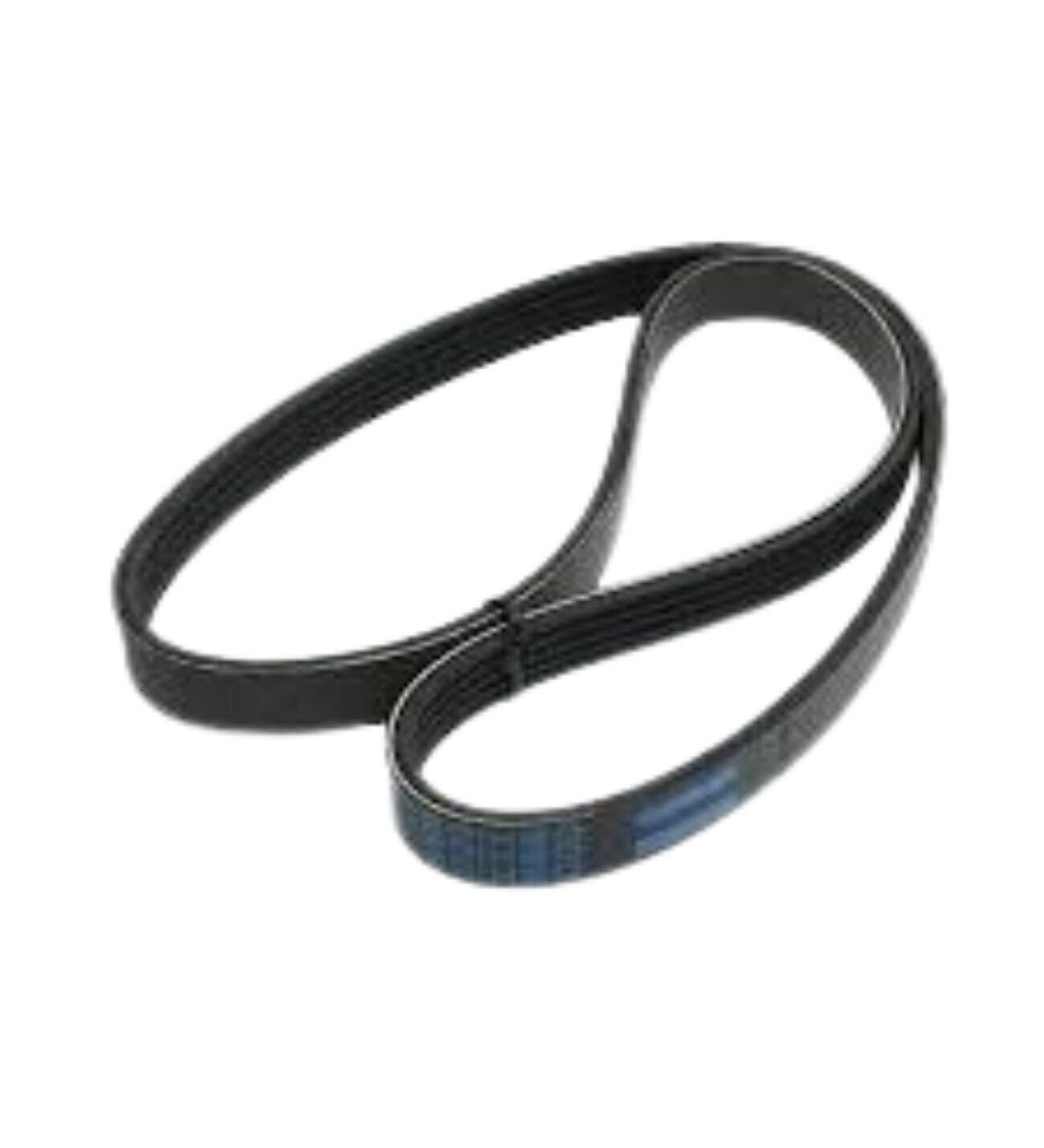 Fiat Palio Siena 1.4 1.6 V Kayışı