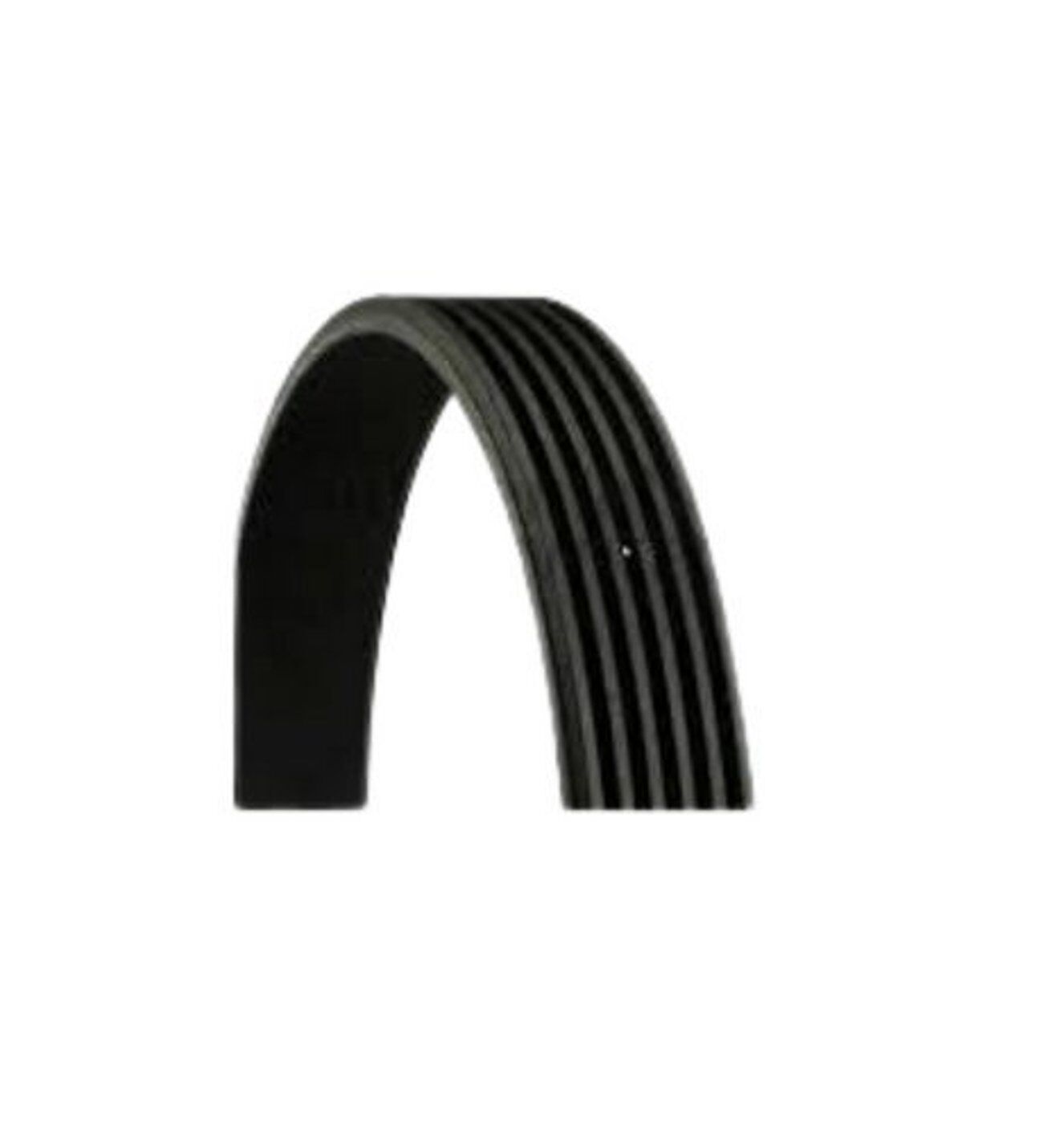 Ford Focus Connect 1.8 TDCI V Kayışı