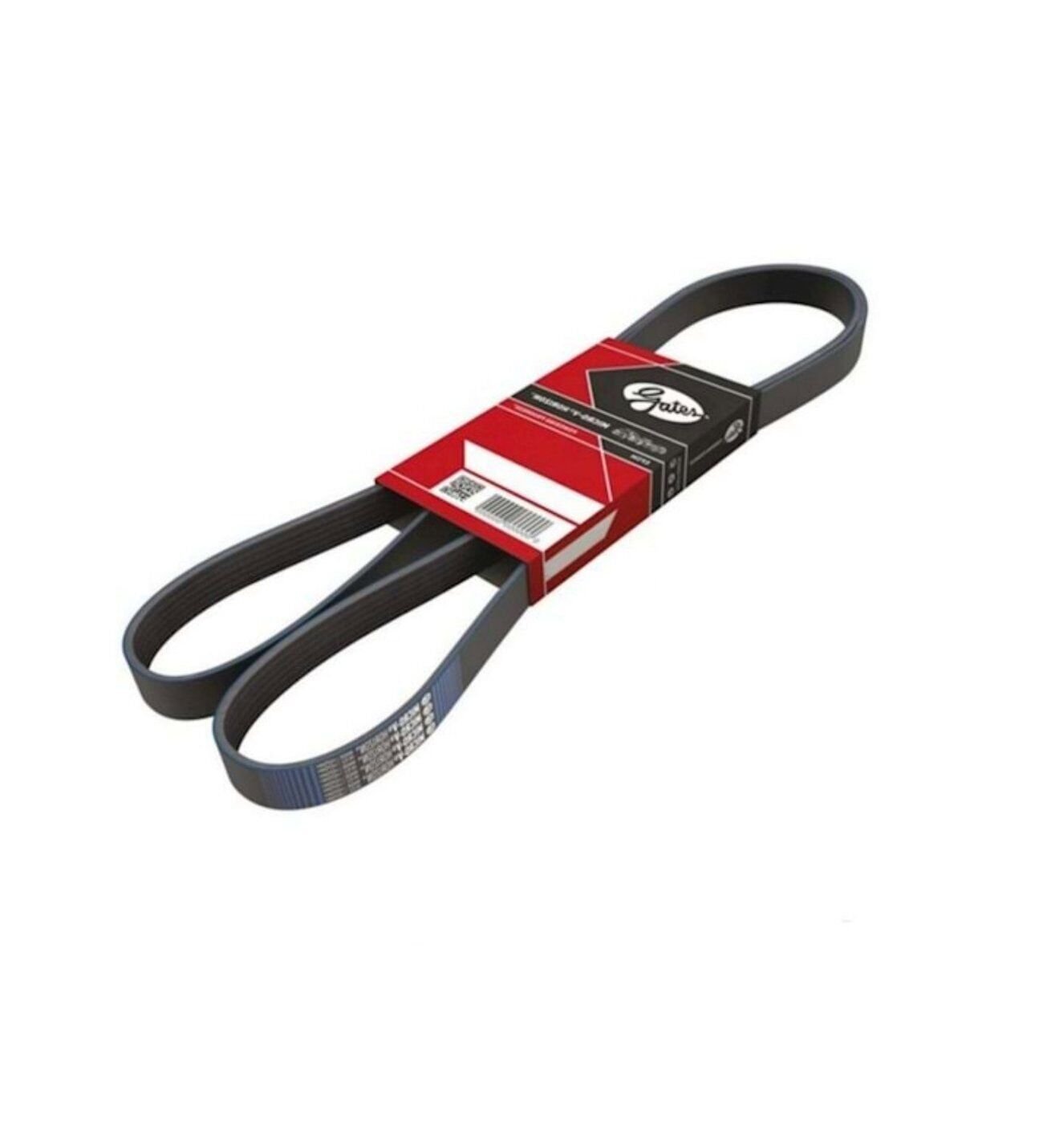 Fiat Tempra Ducato 1994-2002 V Kayışı