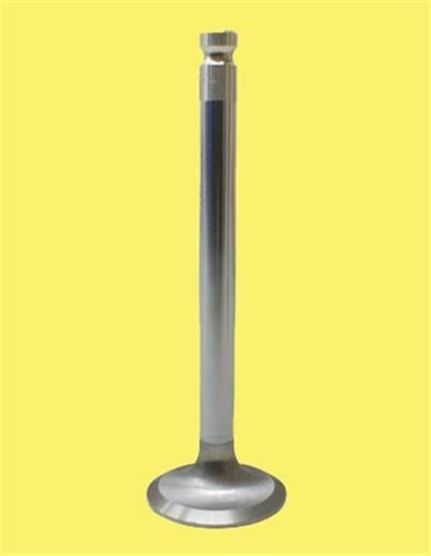 Peugeot 206 306 307 406 607 Citroen Boxer Partner Berlingo C4 C5 Jumper Supap Takımı DW10TD 2.0HDI 8V