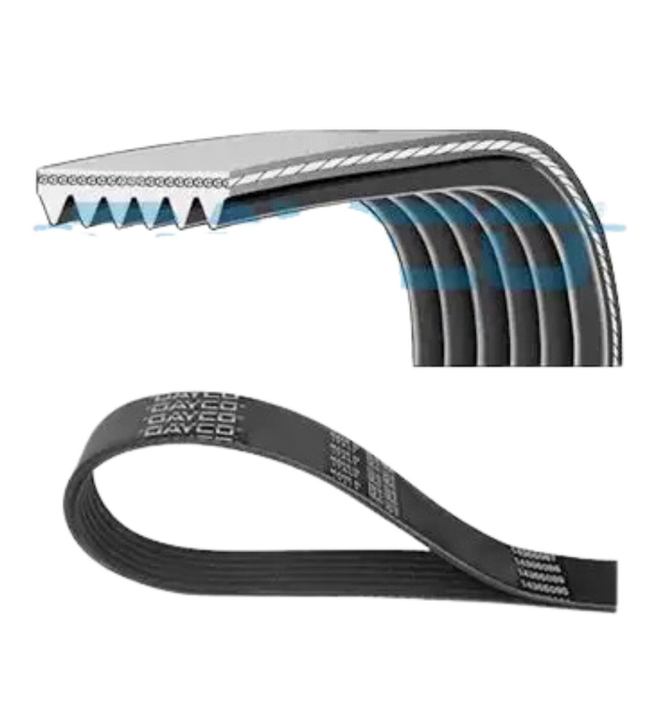 Audi A6 Volkswagen Bora Golf 4 Skoda Octavia 1 1.4 1.6 V Kayışı