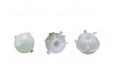 Volkswagen Golf 5 Golf 6 Jetta Caddy Passat Tiguan Touran Skoda Octavia Superb Seat Leon Audi A3 1.9 TDI 2003 - 2008 Radyatör Su Deposu Kapaklı