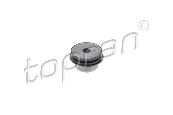 Audi A4 B5 1.9 TDI 1996-2000 2.8 Quattro 1995-2001 Avant 2.4 2.5 TDI Quattro 1997-2001 Arka Salıncak Burcu
