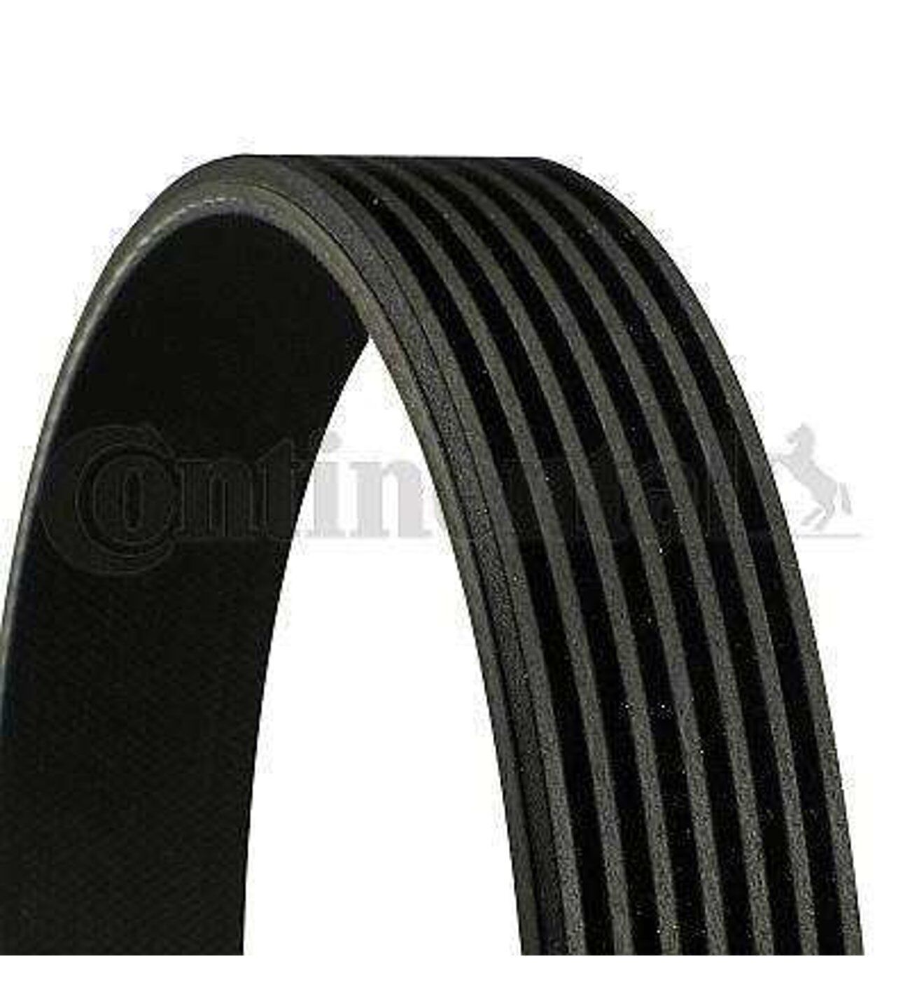 Mercedes-Benz Sprinter W203 W204 W211 W212 A207 S203 A209 W463 X164 W164 W251 W221 OM642 2005 ve Sonrası V Kayışı