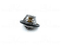 Isuzu NPR D-Max 2003 Sonrası Termostat (85°C)