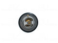 Fiat Ducato Ulysse Peugeot 306 Partner 2.0 1994 - 2006 Termostat (90°C)