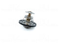 Iveco Daily 2 A 45-10 Mitsubishi Pajero L300 3 2.5 TD Jaguar XJ 12 5.3 1972 - 2006 Termostat (76°C)