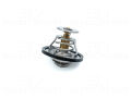 Nissan Primera Sunny Terrano Bluebird Pick Up 2.0 Dizel 1980 - 1990 Termostat (82°C)