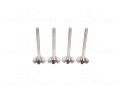 Volkswagen Caddy 2004-2010 Golf 2000-2008 Jetta 2005-2010 Passat T5 Audi A4 2004-2008 1.9 TDI 2.0 TDI Subap Valfi Egzost 4'lü Set