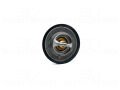 Hyundai Starex Kia Sorento Ford Transit 2.5 1985 - 2007 Termostat (88°C)