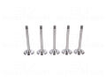 Volkswagen Golf 1993 - 1997 Passat 1993 - 1996 Audi A4 2000 - 2005 A6 1994 - 1997 1.9 TDI Subap Valfi Emme 5'li Set