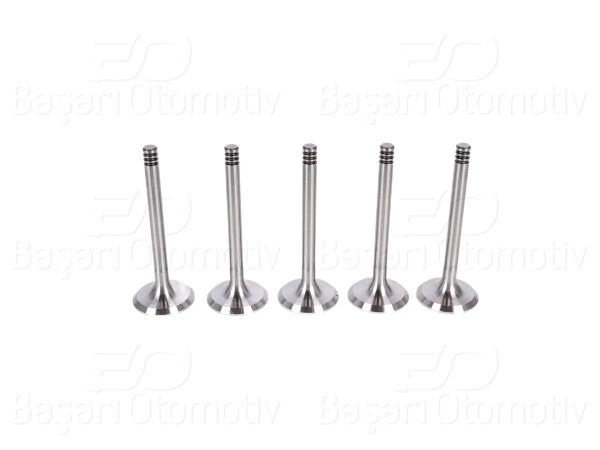 Volkswagen Golf 1993 - 1997 Passat 1993 - 1996 Audi A4 2000 - 2005 A6 1994 - 1997 1.9 TDI Subap Valfi Emme 5'li Set