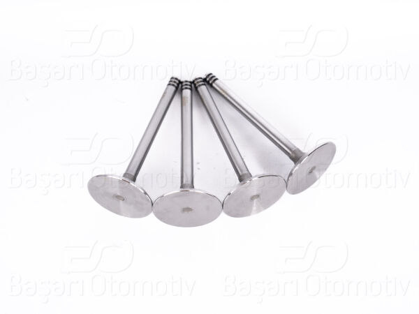 Volkswagen Caddy Golf Jetta Passat Y5 Audi A4 1.9 TDI 2.0 TDI Emme Subap Valfi 4'lü Set