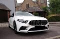Mercedes W177 2019+ Uyumlu A Serisi GTR Panjur